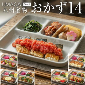 【ポイント20倍】 冷凍惣菜 おかず 14食 セット 弁当 おかずのみ 冷凍食品 冷凍惣菜 ストック 保存 レンチン 惣菜 九州 ご当地 美味しい グルメ 冷凍おかず通販 高齢者 和食 温めるだけ 簡単 和食おかず 美味しいおかず 冷凍弁当 おかず 時短おかず 簡単おかず