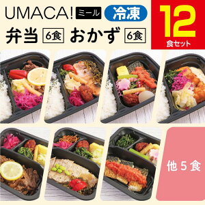 【冷凍弁当〈弁当6食・おかず6食〉12食セット】 冷凍 弁当 惣菜セット レンチン 簡単 冷凍弁当 ご飯付き ごはん付き おかず 冷凍食品 お弁当 レンジ 温めるだけ 時短 保存 冷凍惣菜 冷凍総菜