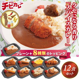 【お盆セール10倍】冷凍弁当 スパイスカレー 色々 12食セット 冷凍食品 カレーセット 美味しい 冷凍カレー お取り寄せ グルメ 冷凍 温めるだけ 簡単 レンチン 時短 一人暮らし 食品 仕送り 子供 お弁当 冷食弁当 カレー ハンバーグカレー スパイシーカレー