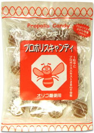 ソーキ プロポリスキャンディ 100g 花粉症 対策 のど飴 坑酸化 のどの痛み ニッキ メントール