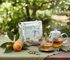 ypzr̗t5g×100pbN yYz  f r т t ft Ϗop