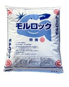 yДnꏤXzwbNistj@22kgxiVK[hpijቮyEaȄCEȂ΂E