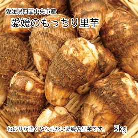 愛媛のもっちり里芋 約3kg　秀品【送料無料】【掘りたて里芋を産地直送】国産 さと芋 ギフト 芋煮 もちもち やわらか 自宅用 普段使い 正月 さといも 産直 煮物 惣菜