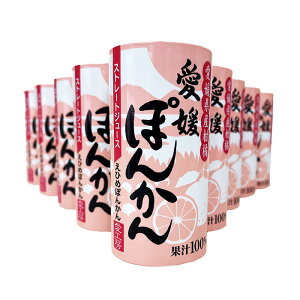 Qۂ񂩂W[X 20{yzQY ʏ`100% Y Xg[g ZkҌ Mtg v[g  Ε p 