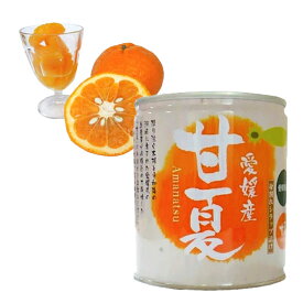 愛媛産甘夏缶詰24個入【送料無料】国産 フルーツ 果物 ギフト お歳暮 お中元 お祝い プレゼント 保存食 備蓄食