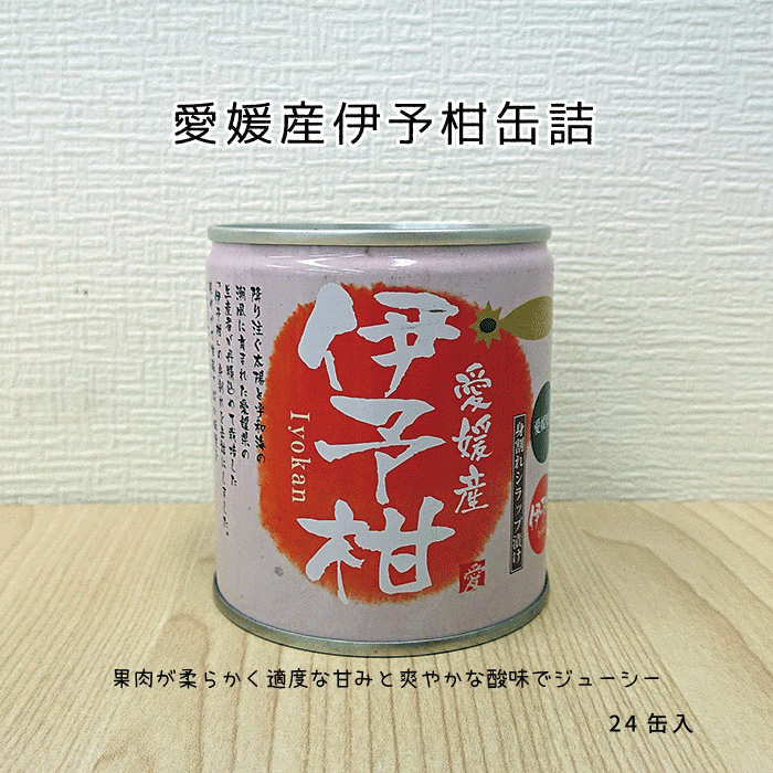 SALE／81%OFF】 <br>愛媛産伊予柑缶詰24個入<br>