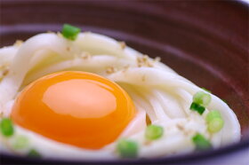 プチギフト讃岐手延べうどん800g【うまい麺】【メール便】