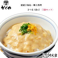 愛媛宇和島の味・さつま　5食　かどや製■素朴で味わい深い郷土の味・飾らない宇和島の味 麦味噌 郷土料…