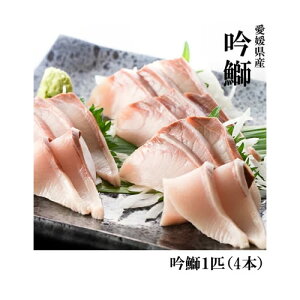 ぶり 冷凍 魚の人気商品 通販 価格比較 価格 Com