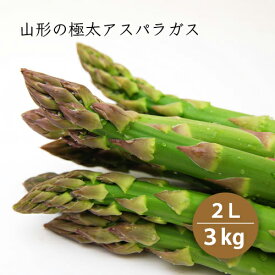 楽天市場 アスパラガス 根の通販