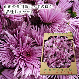楽天市場 食用 菊の通販