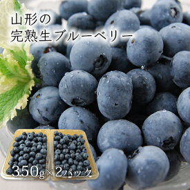 楽天市場 甘い ブルーベリーの通販