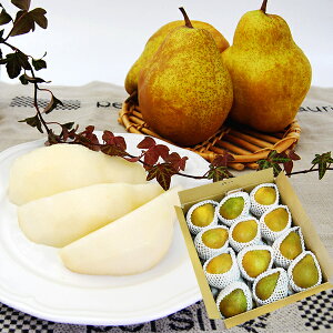 \tF12{蔭\|ImVo[x5kg(7ʁ`12)