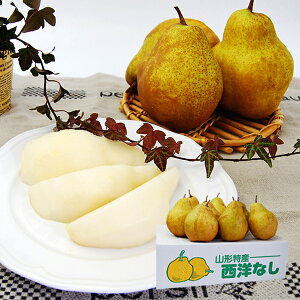 \tF12{蔭\|ImVo[x3kg(5ʁ`9)