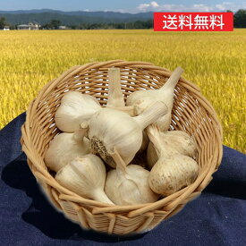 《根・土つき》山形の生にんにく約500g