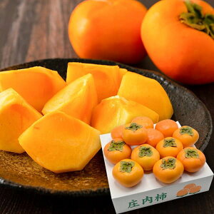 \tF10{蔭\|sƒptlYq̏`2.5kg