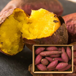 KIUEMON^n܂VNXC[g2kg