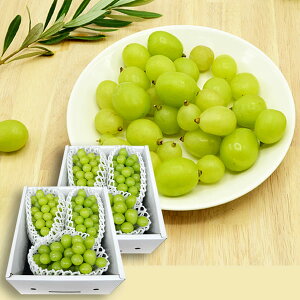 sƒptv~AԂǂVC}XJbg2kg(6[O)