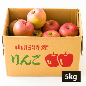 \tF2026N1{蔭\|s󂠂tR` ӂ 5kg S ь R` A 5kg ӂ R`Y 5L ƒp ƒp p ʕ t[c p s Yn