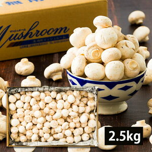 y 󂠂 z M`}bV[ 2.5kg ( zCg / ol /  ) R`Y }bV[ 2.5L Y H ̂ LmR    p ƒp R`Y H@ r^~ 
