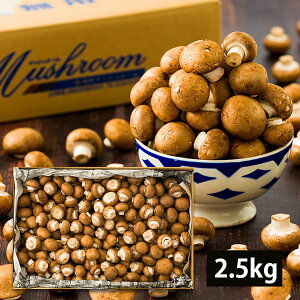 y 󂠂 z M`}bV[ 2.5kg ( uE / ol /  ) R`Y }bV[ 2.5L Y H ̂ LmR    p ƒp R`Y H@ r^~ 