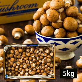 【 訳あり 】 舟形マッシュルーム 5kg ( ブラウン / バラ詰め / 箱入り ) 山形県産 マッシュルーム 5キロ 国産 生食 きのこ キノコ 茸 料理 調理 自宅用 家庭用 山形産 食物繊維 ビタミン たんぱく質 タンパク質 業務用 お取り寄せ グルメ 人気