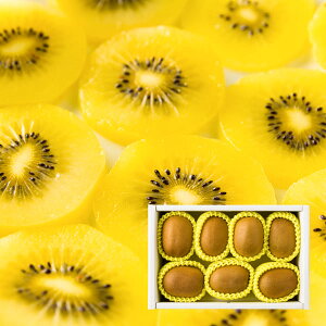 \tF11{蔭\|̑ʃS[hLECt[c 1.2kg(7`8)