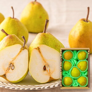 \tF11{蔭\|yʌzR`̗mEl[W2kg(5~9ʁj