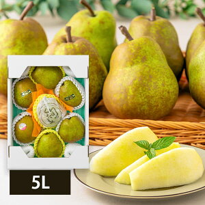 \tF11{蔭\|Fm ʃEtX3kg(5L7)