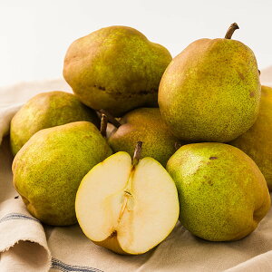 yʌzʎ^s󂠂tEtX5kg(ʐ܂)