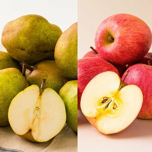 \tF11{蔭\|yʌzʎ^s󂠂tEtXƃTӂ񂲂̃Zbg10kg(e5kg)