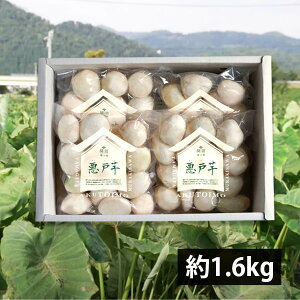 J\Y̐􂢗 ˈiƂj1.6kg(400g×4)