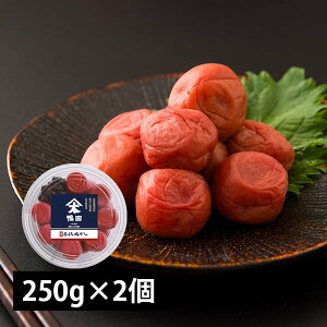 cX^sItJ~ڂ250g×2