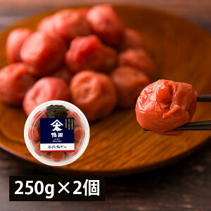 cX^J~ڂ250g×2