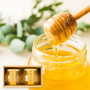 \tF9{蔭\|_{I^R`݂̂͂[SԖ]2{(300g×2{)