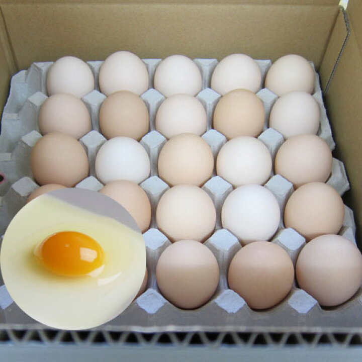 卵 生卵 鶏卵 純国産 産地直送 朝採れ 朝どり さくら卵 80個 (保証20個含) あすつく 送料無料