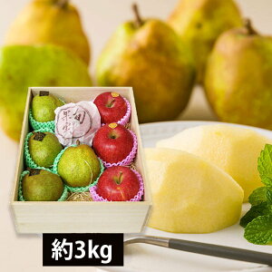 \tF11{蔭\|s{ʁtv~AmtXƂӂ񂲖3kg(e4)[˔]