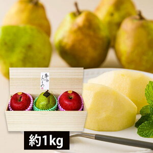 \tF11{蔭\|s{ʁtv~AmtXƂӂ񂲖1kg[˔]