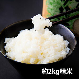 �_ ���Ԍ��� �S�i�|�C���g2�{�^ �R�`�̕� �䂤����21 ��2kg ���� (�ߘa7�N�x��)