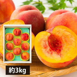 XJʎ̉ g3kg(8`10)