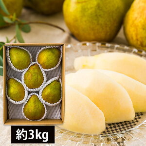 \tF12{蔭\|Ђ_^mVo[x3kg(5`6)