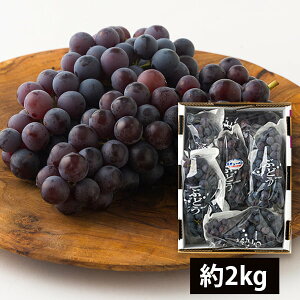 R_̂ԂǂÔX`[x2kg(7[O)