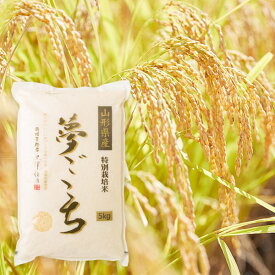 黒澤ファームのお米「夢ごこち」精米約5kg