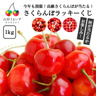 【 リピーター率80%！山形県産 さくらんぼ ラッキーくじ 1kg 】( 6月中旬〜7月上旬頃発送予定 ) さくらん…