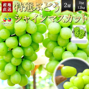 IԂǂ VC}XJbg 2[ ( 1[ 500`600g ) Mtg R`Y Yn 炲ƐHׂ lC uhE Ȃ Ԃǂ VC }XJbg  Â 蕨 v[g { t[c 