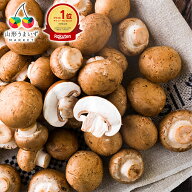 【楽天1位獲得】 【 訳あり 】 舟形マッシュルーム 1kg ( ブラウン / バラ詰め / 箱入り ) 山形県産 マッ…