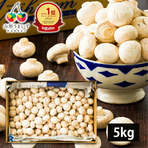 �y�y�V1�ʊl���z �y �󂠂� �z �M�`�}�b�V�����[�� 5kg ( �z���C�g / �o���l�� / ������ ) �R�`���Y �}�b�V�����[�� 5�L�� ���Y ���H ���̂� �L�m�R �� ���� ���� ����p �ƒ�p �R�`�Y �H���@�� 