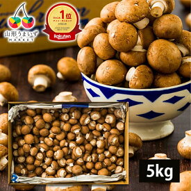 【楽天1位獲得】 【 訳あり 】 舟形マッシュルーム 5kg ( ブラウン / バラ詰め / 箱入り ) 山形県産 マッシュルーム 5キロ 国産 生食 きのこ キノコ 茸 料理 調理 自宅用 家庭用 山形産 食物繊維 ビタミン たんぱく質 タンパク質 業務用 お取り寄せ グルメ 人気