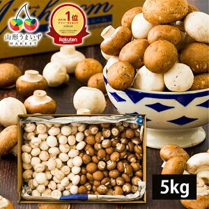 �y�y�V1�ʊl���z �y �󂠂� �z �M�`�}�b�V�����[�� 5kg ( �o���l�� / ������ ) �z���C�g �u���E�� �~�b�N�X �R�`���Y �}�b�V�����[�� 5�L�� ���Y ���H ���̂� �L�m�R �� ���� ���� ����p �ƒ�p 