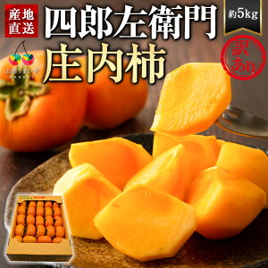 \tF10{蔭\|sƒpt 󂠂 lYq ` 5kg R`Y ` JL  傤Ȃ 5L t[c ʕ  햳 ˂Ȃ Ȃ s\ 